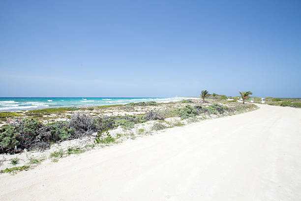istock Sandy road to the beach 616132528