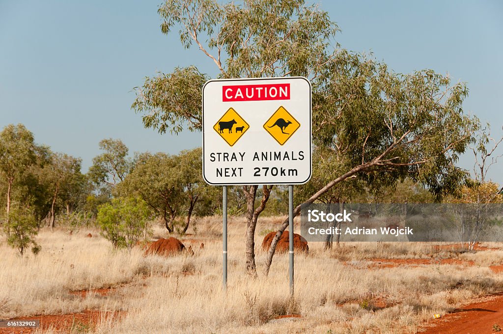 Stray Animals Road Sign - Australia Australia Stock Photo