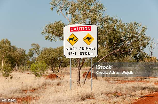 Stray Animals Road Sign Australia Stock Photo - Download Image Now - Australia, Uluru, Australian Culture