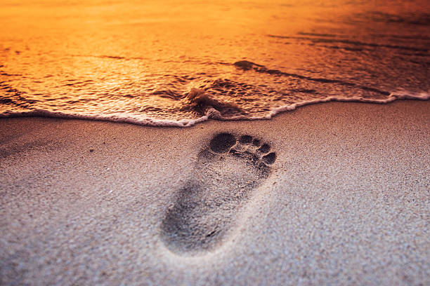 istock Footprint on the beach 616135462
