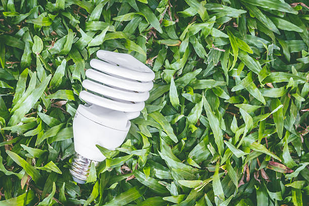 istock Light bulb with energy saving eco lamp 616219288