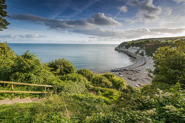 Panoramic view over Beer village in Devon,UK Panoramic view over Beer traditional fishermen village in Devon,UK devon stock pictures, royalty-free photos & images