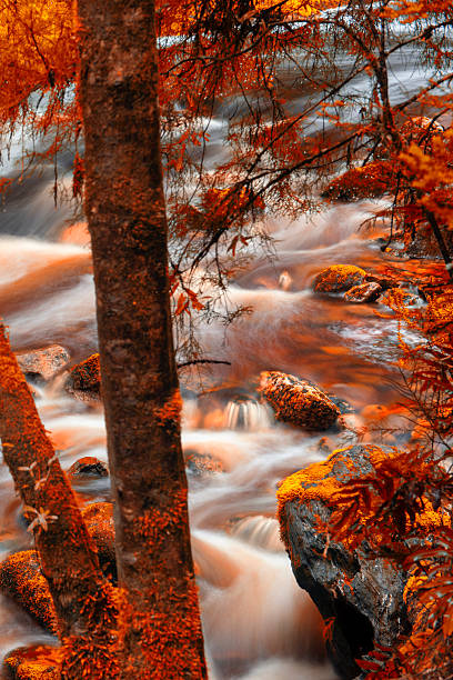 Newell creek in Tasmania, Australia is a magnificent fast running stream. Abstract landscape with red hues added.