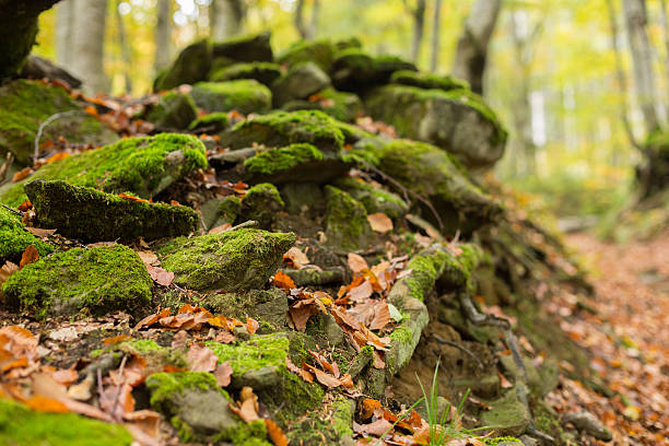 istock Pile of stones covered with moss 616222540