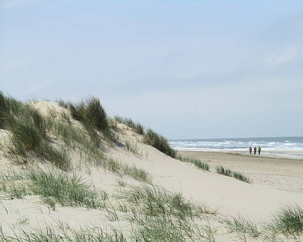 sand dunes belgian coast - blankenberge strand stockfoto's en -beelden