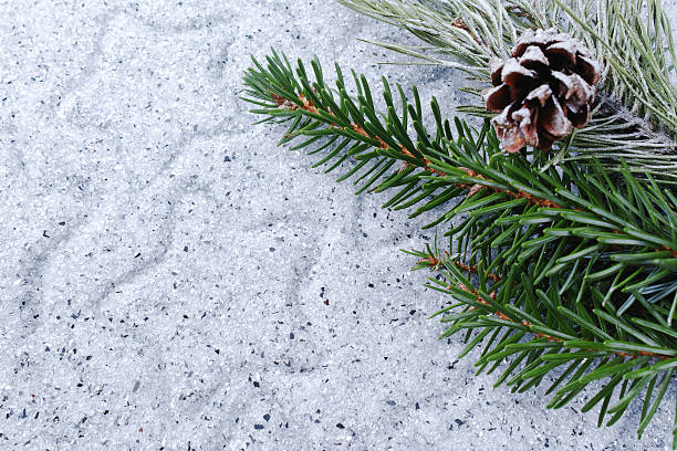 istock Christmas fir on shiny mirrored background, copy space 616227060