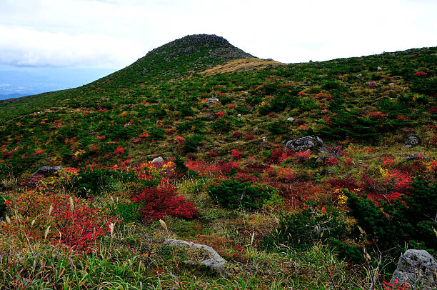 mt.adatara japan - nihonmatsu stock-fotos und bilder