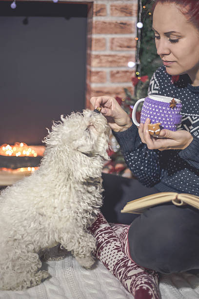 istock Beautiful lady and her dog eating ginger bread 616229244