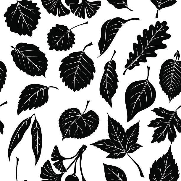 листья растений пиктограмма, без швов - hawthorn square shape square leaf stock illustrations