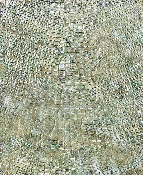 istock Background texture of a glossy covering with a warm tint. 616233600
