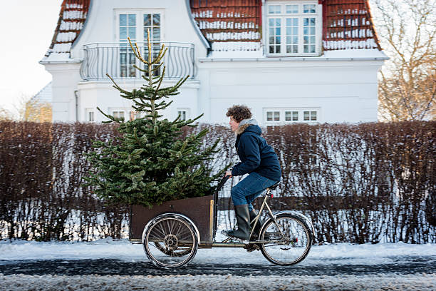 is this christmas tree big enough? - white denmark nordic countries winter imagens e fotografias de stock