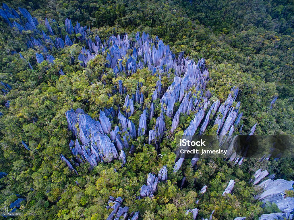 Mulu Pinnacles A humbling adventure to have hiked all the way up 2.4km above sea level and capture this from above. Aerial View Stock Photo