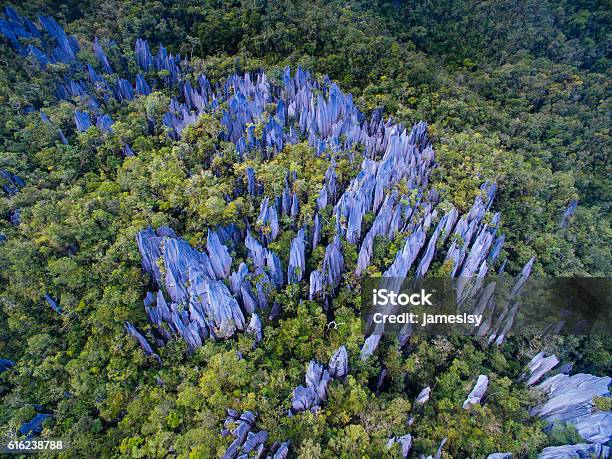 Mulu Pinnacles Stock Photo - Download Image Now - Aerial View, Sarawak State, National Park