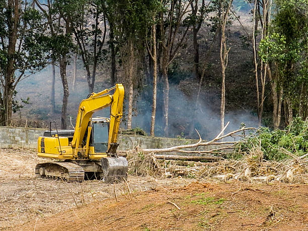Koh Lanta, Thailand - October 22, 2016: A large digger is being used to clear an area of rainforest in Thailand.  Smoke from a small fire can be seen in the background burning the fallen vegetation.  Deforestation is a topical subject regarding global warming and habitat loss.  This image was taken from the public roadside in Koh Lanta, where forests are cleared to make way for development and palm oil plantations (biofuel).