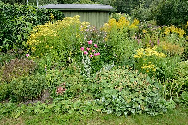 istock Colorful garden in a backyard 616241194