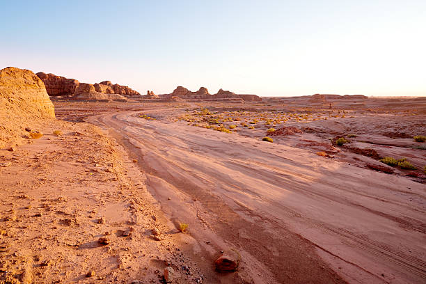 istock Winding unpaved road leading through the yardang field at sunset 616242686