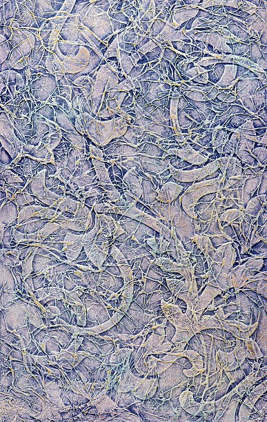 istock Background texture of a glossy coating cold tone. 616243074
