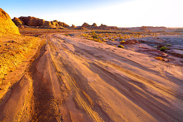 istock Winding unpaved road leading through the yardang field at sunset 616243128