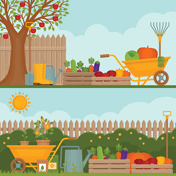 illustrazioni stock, clip art, cartoni animati e icone di tendenza di orto. concetto di giardinaggio. - landscaped sign farm landscape