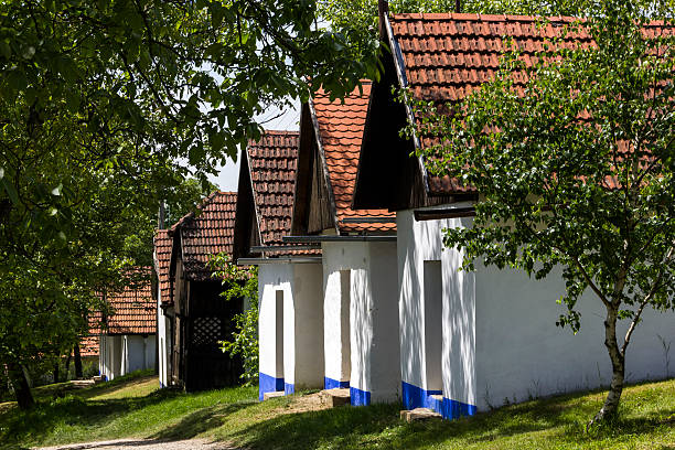 istock Traditional Wine Cellars in Moravia, Czech Republic 616244440