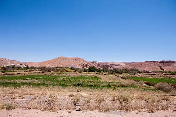 Cropland in San Pedro de Atacama