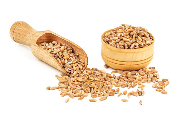 istock heap of ripe wheat 616250388