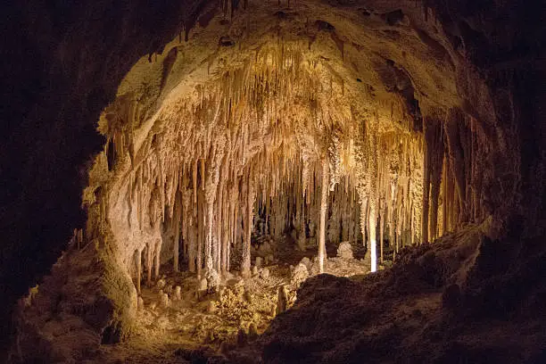 Carlsbad Caverns National Park is in the Chihuahuan Desert of southern New Mexico. It features more than 100 caves.