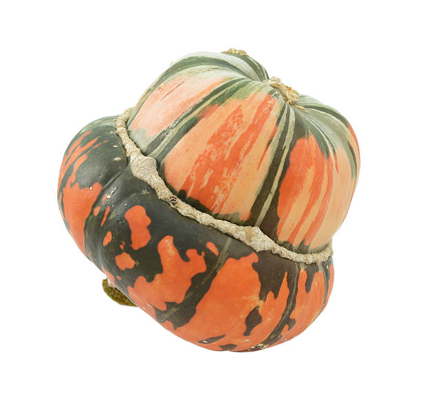 istock Orange and green striped Turban squash 616251612