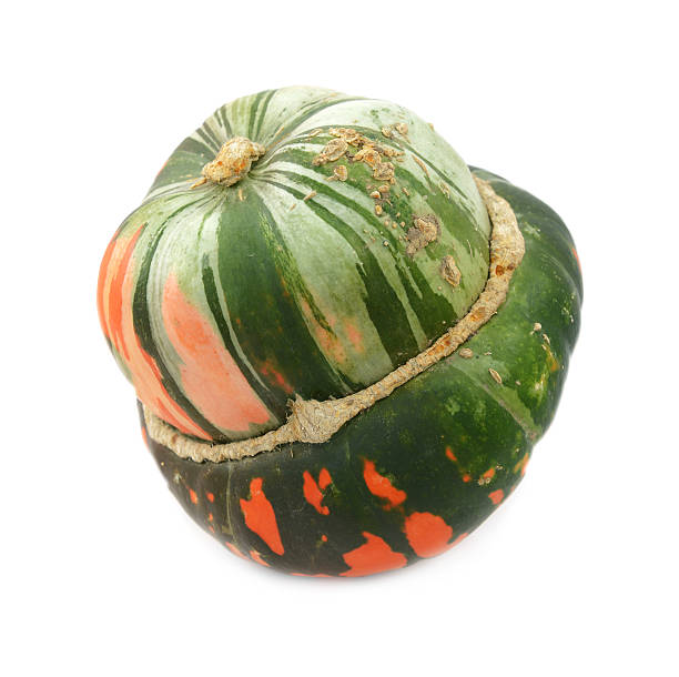 istock Green and orange turban squash 616251644
