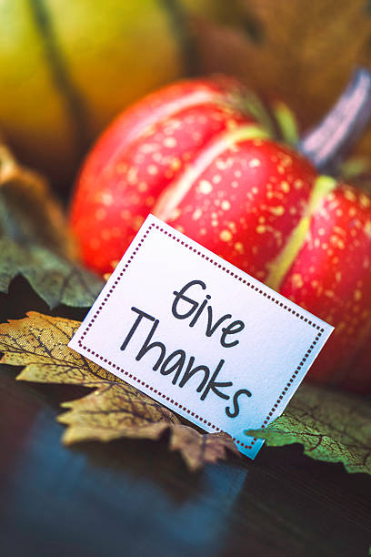 istock Thanksgiving fall arrangement with pumpkins, leaves and give thanks message 616251720