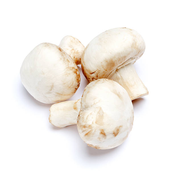 istock champignon mushroom isolated on white 616251824