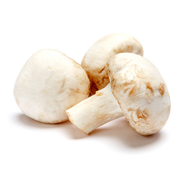 istock champignon mushroom isolated on white 616251858