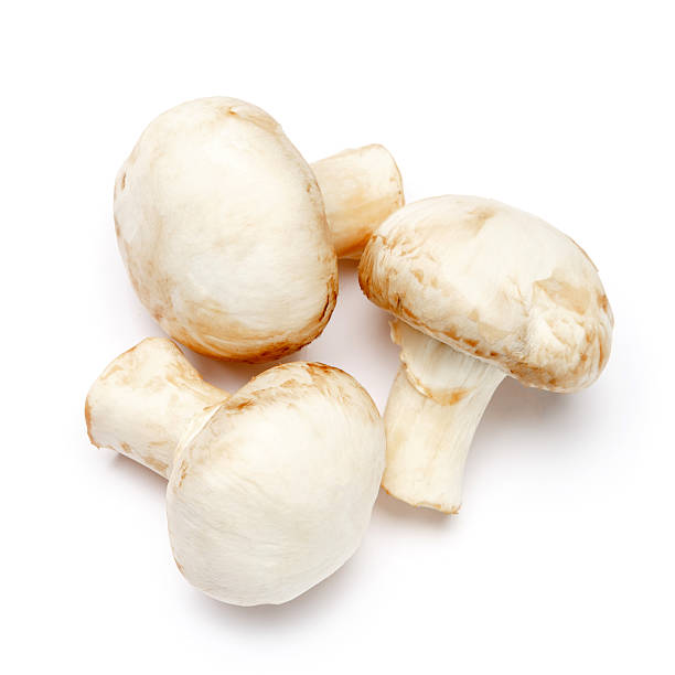 istock champignon mushroom isolated on white 616251912
