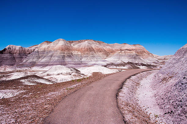 parco nazionale della foresta pietrificata, arizona, stati uniti - holbrook foto e immagini stock