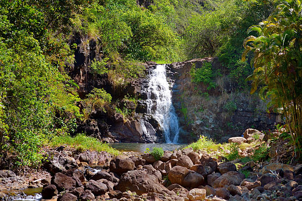 Beautiful waterfall in Waimea Valley on Oahu Beautiful tropical waterfall in Waimea Valley park on Oahu island waimea valley stock pictures, royalty-free photos & images