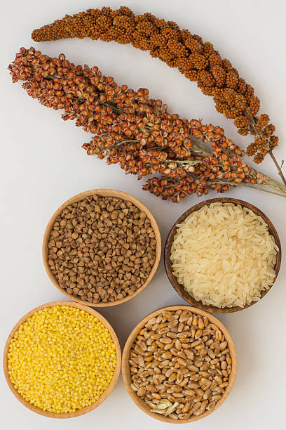 istock Twig red millet and sorghum, grain buckwheat, millet, rice, whea 616255356