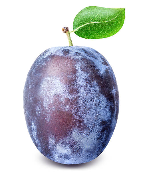 istock Ripe plum with leaf isolated on white background 616256204