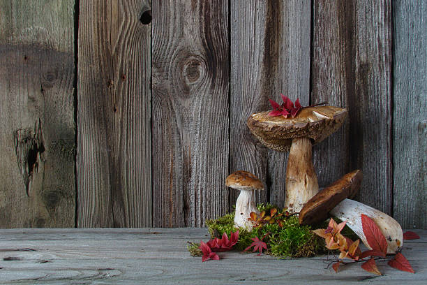 istock Still life with mushrooms, autumn leaves moss 616256304