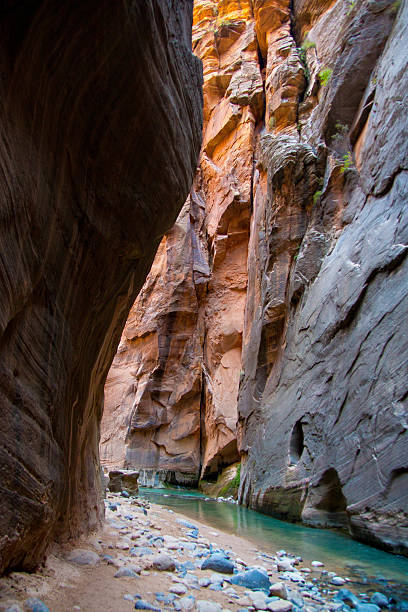 istock The Narrows, Zion National Park, Utah 616256584