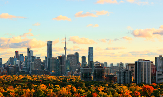 Toronto skyline with downtown, midtown, and urban tree canopy lit by setting sun in October 2016