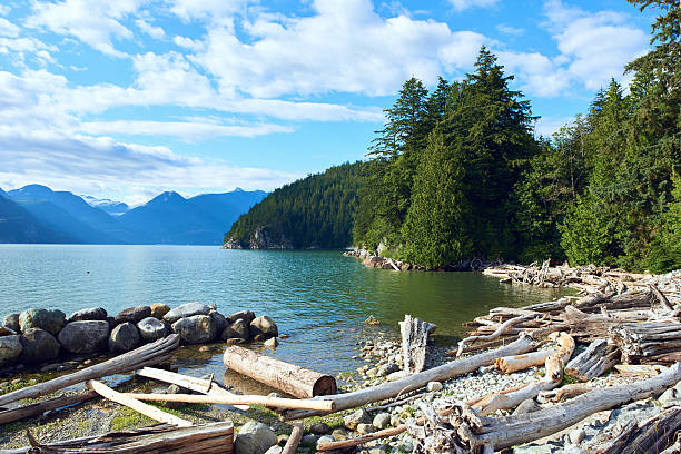 istock Beautiful nature with mountain 616854660