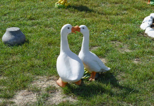Toy geese on the lawn. Plastic toy geese.
