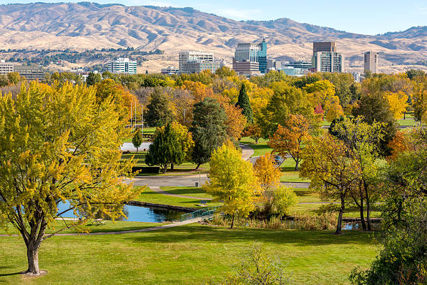 istock City of trees skyline with autumn trees 616862128