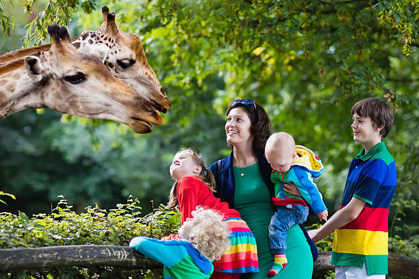 istock Mother and kids feeding giraffe 616862912