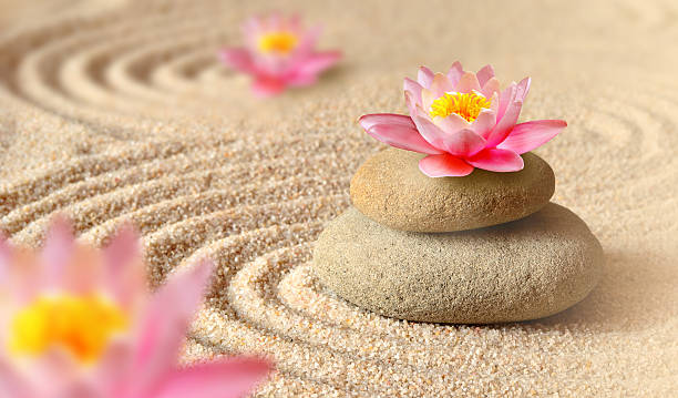 istock sand, lily and spa stones in zen garden 616864408