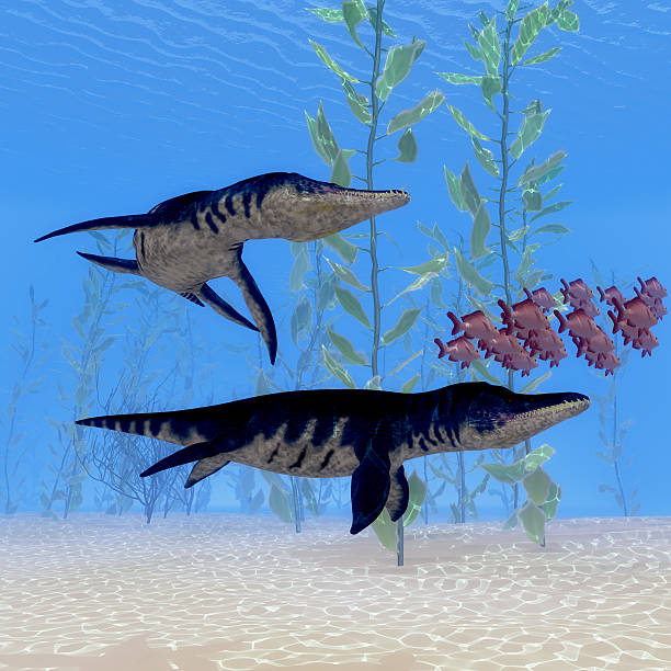 istock Liopleurodon Marine Reptile 616865210