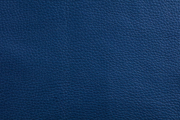 내츄럴 레더 감촉(무늬) - textured textured effect hide leather 뉴스 사진 이미지