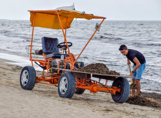 istock The car for garbage collection from the beach 616868816