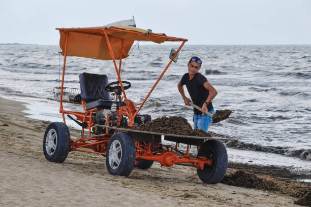 istock The car for garbage collection from the beach 616868972