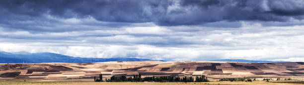 istock Panoramic view of plowed field under cloudy sky 616870020